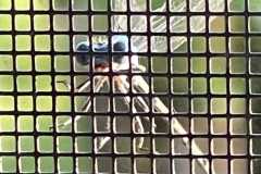 Wildlife-Fyre-Lake-095