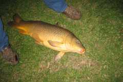 Wildlife-Fyre-Lake-105